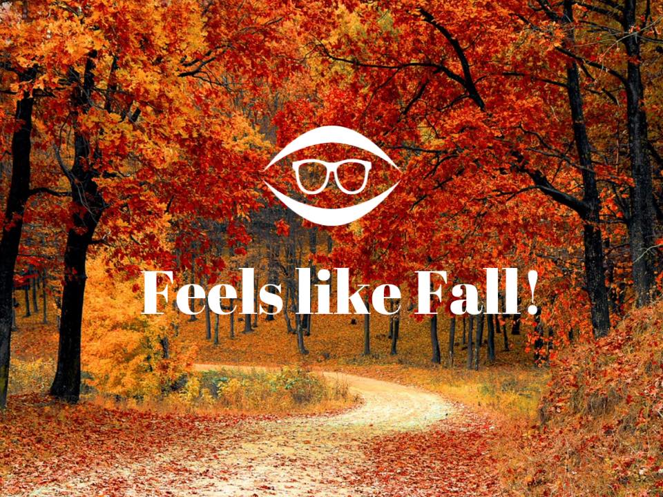 Feels like Fall! Tamas EyeCare